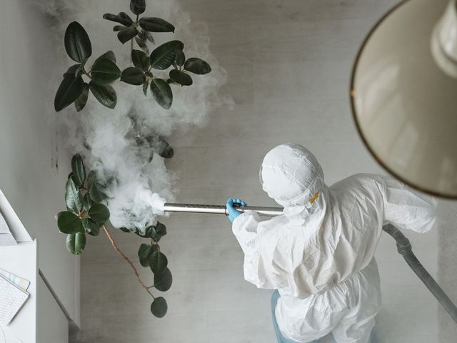 Operator in a protective suit fogging with a thermal fogger